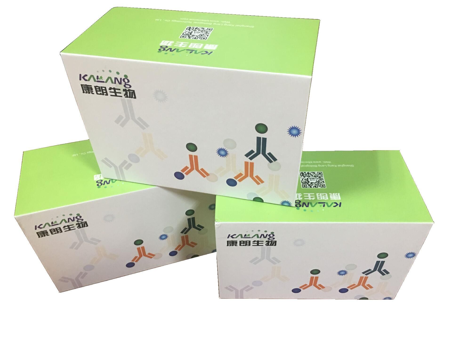 人角化细胞生长因子酶联免疫试剂盒,Human KGF/FGF-7 ELISA KIT