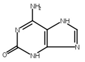 异鸟嘌呤,Isoguanine