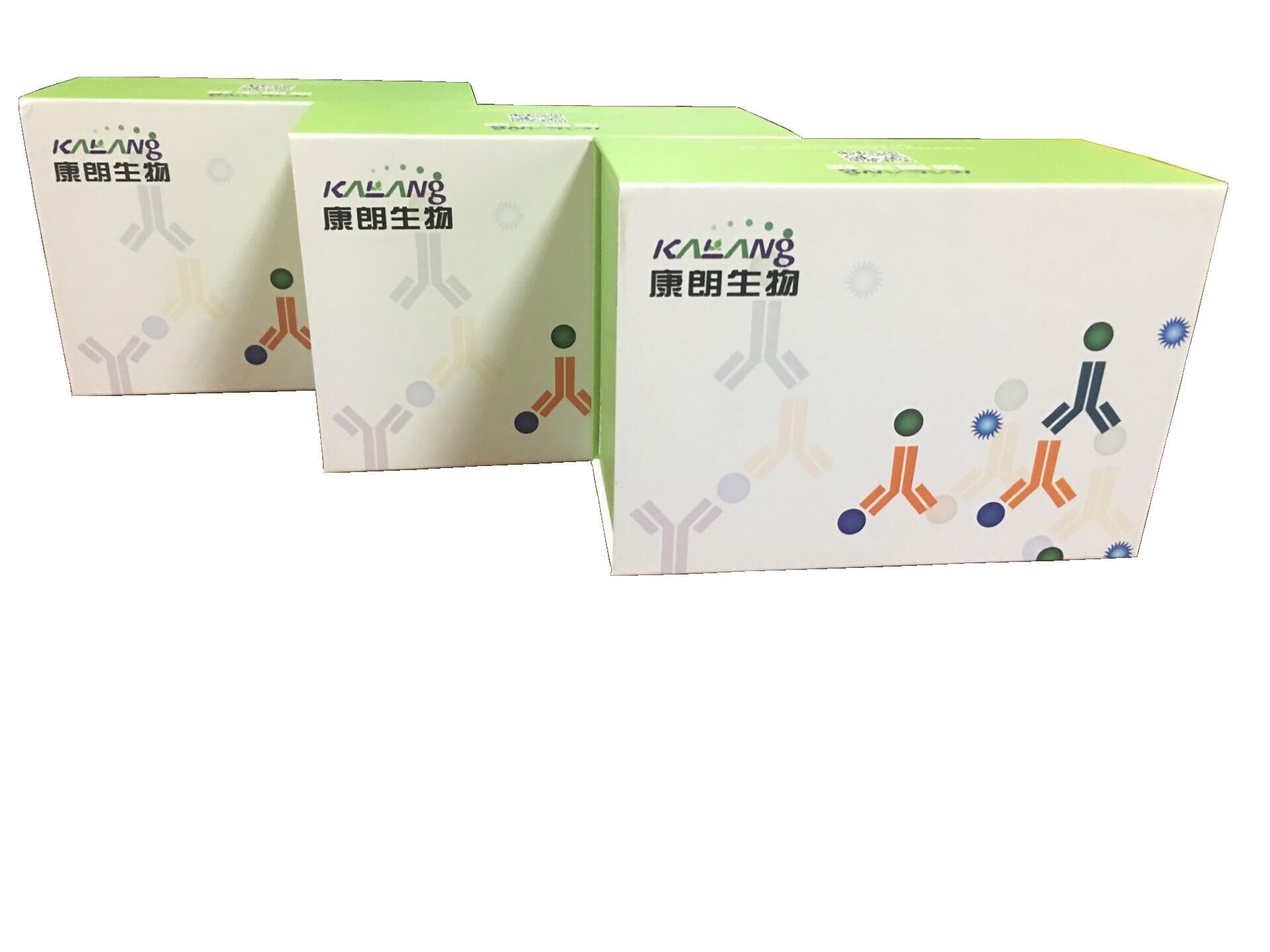 小鼠C反应蛋白酶联免疫试剂盒,Mouse CRP ELISA KIT