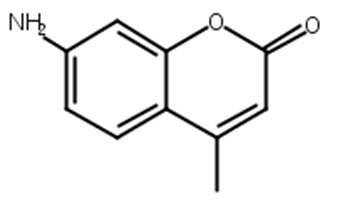 7-氨基-4-甲基香豆素,7-Amino-4-methylcoumarin
