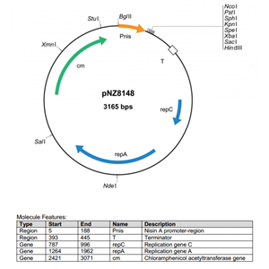 pNZ8148 载体,pNZ8148