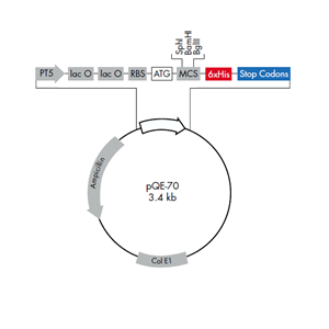 pQE-70 載體
