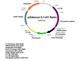 pSilencer 51-H1 Retro 载体