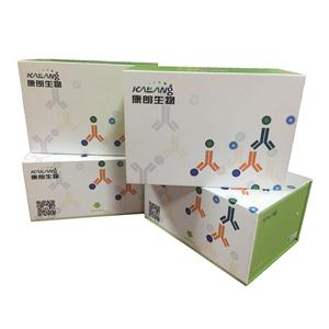 人增殖标记物Ki-67酶联免疫试剂盒,Human Ki-67/MKI67 ELISA KIT