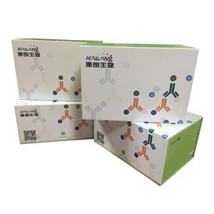 人趋化因子CCL26酶联免疫试剂盒,Human CCL26/Eotaxin-3 ELISA KIT