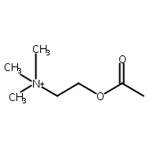 乙酰胆碱,2-Acetoxyethyl)trimethylammonium