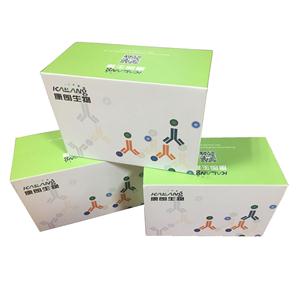 人铁调素酶联免疫试剂盒,Human Hepcidin ELISA KIT