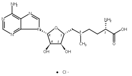 S-(5'-腺苷基)-L-氯化蛋氨酸,S-(5′-Adenosyl)-L-methionine chloride