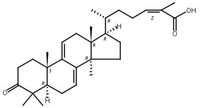 靈芝酸SZ,Ganoderic acid SZ