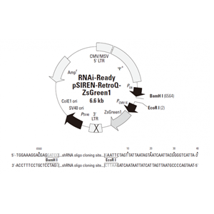 RNAi-Ready pSIREN-RetroQ-ZsGreen 載體,RNAi-Ready pSIREN-RetroQ-ZsGreen