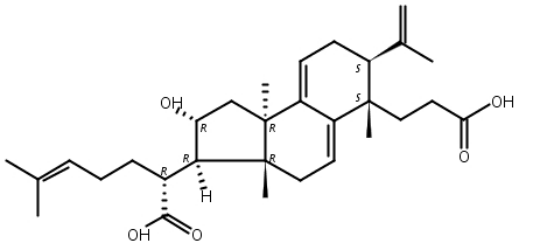 茯苓酸B,poricoic acid B