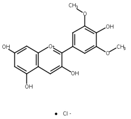 氯化锦葵色素,Malvidin Chloride