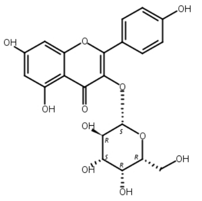 山奈酚-3-O-半乳糖苷,Trifolin