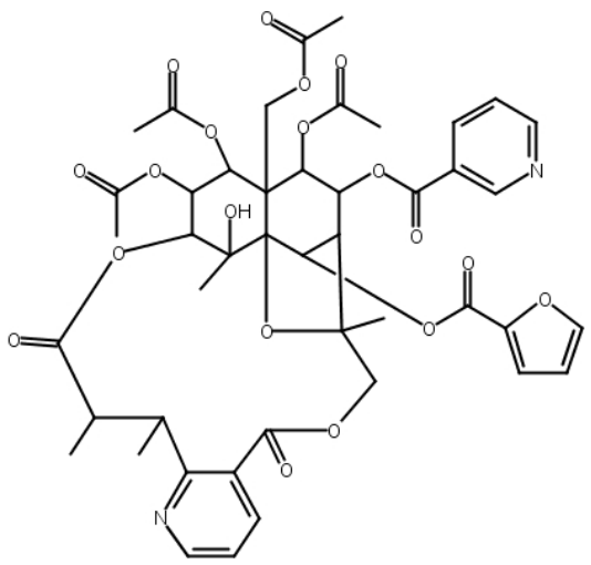 Hyponine E