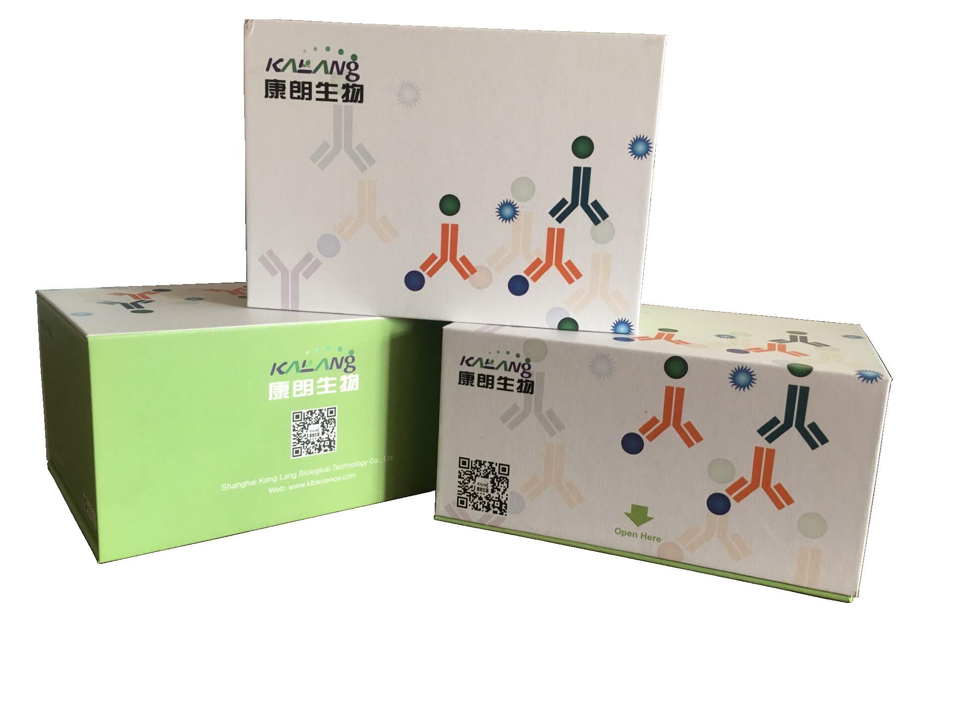 泛素特异性肽酶8(USP8)检测试剂盒（ ELISA 方法）,USP8