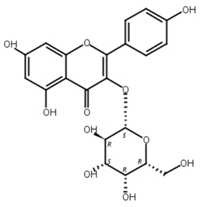 山奈酚-3-O-半乳糖苷,Trifolin