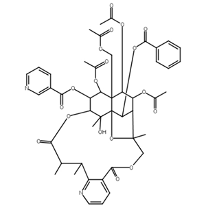 Hyponine D