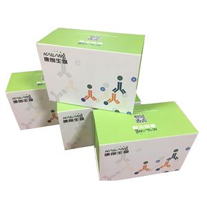 尿酸盐转运蛋白1(URAT1)检测试剂盒（ ELISA 方法）