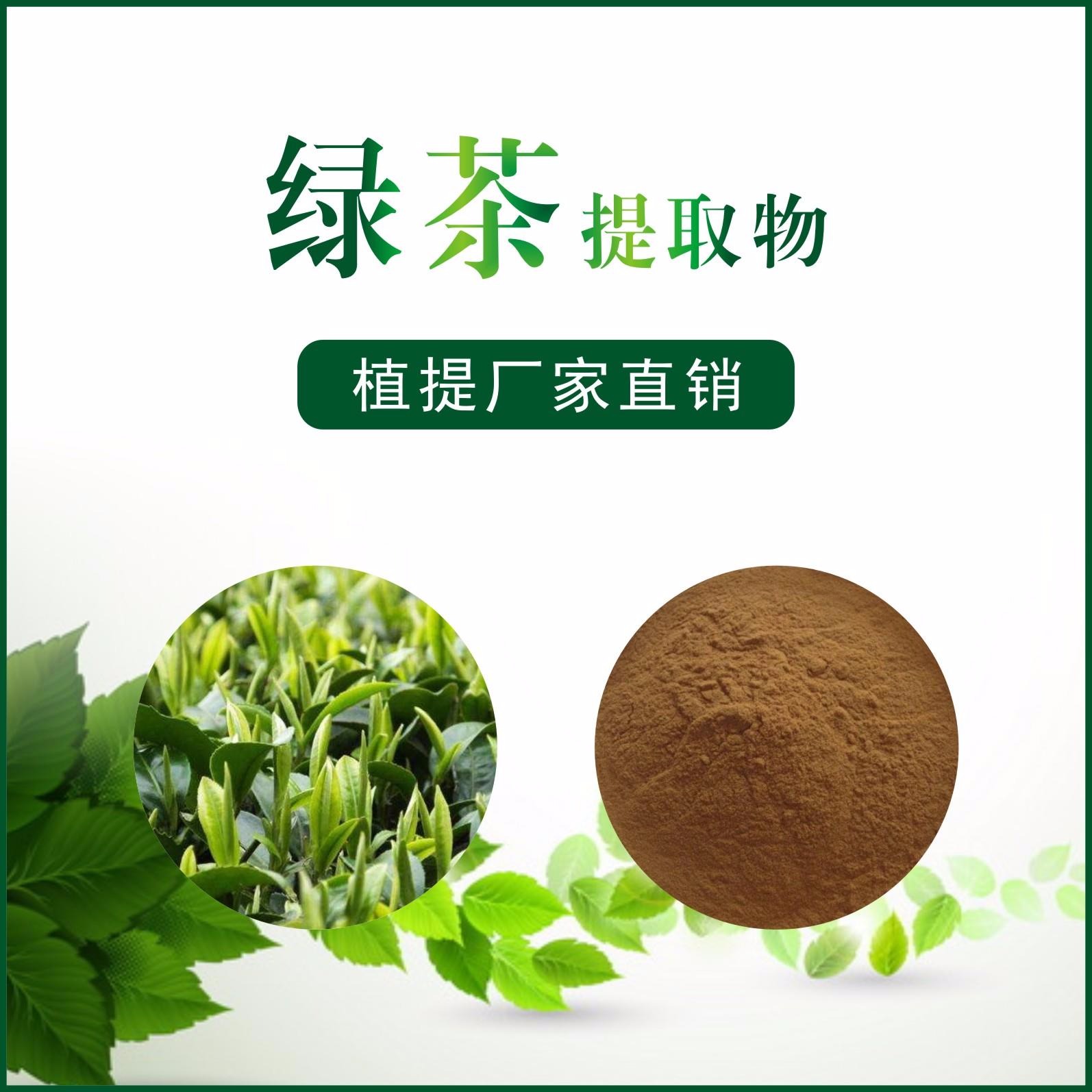 绿茶提取物,Green Tea Extract