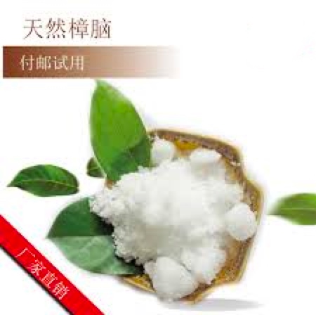 天然樟腦,Natural camphor