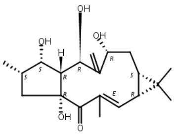 7-羟基千金子二帖醇,7-beta-Hydroxylathyrol