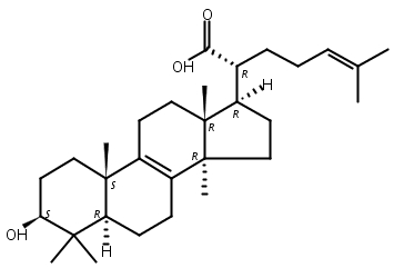 3-羟基羊毛甾-8，24-二烯-21-酸,3β-Hydroxylanosta-8,24-dien-21-oic acid