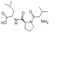 Diprotin B