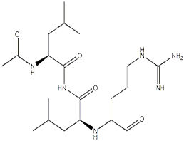 亮抑酶酞 ;Leupeptin