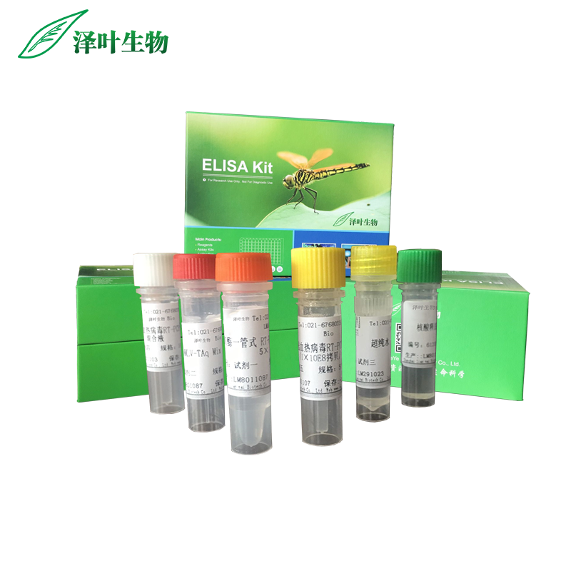 克罗诺杆菌通用荧光定量PCR试剂盒（探针法）,Cronobacter spp