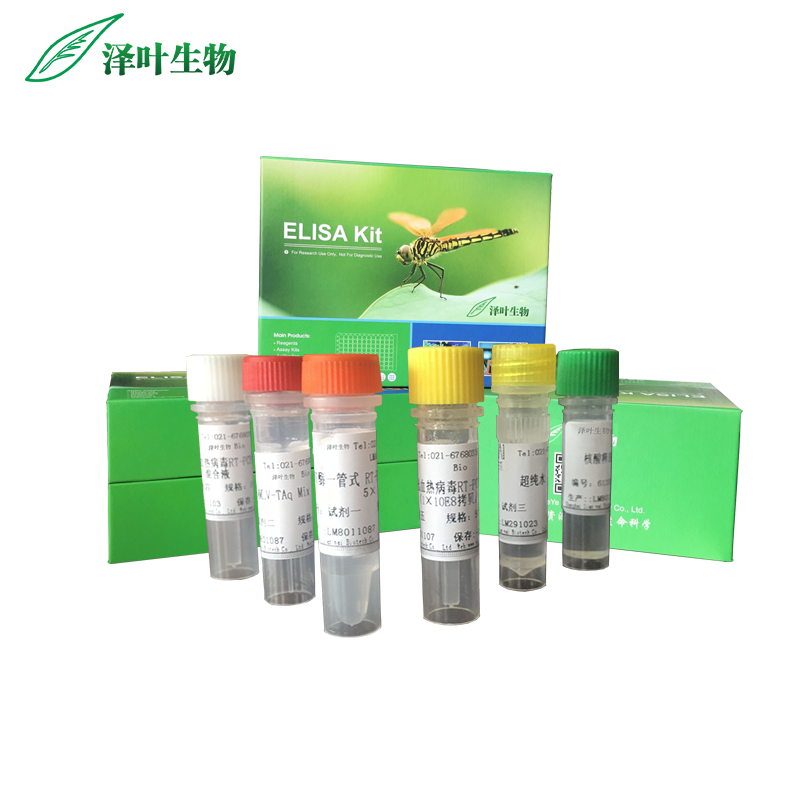 鸭腺病毒荧光定量PCR试剂盒（探针法）,Duck Adenovirus
