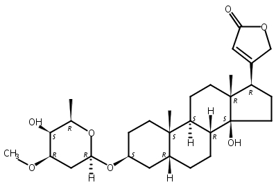 夹竹桃苷A,Odoroside A