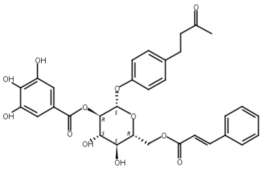 4′-羟基苯基-2-丁酮-4′-O-B-D-(2′′-O-桂皮酰-6′′-O-没食子酰葡萄糖苷,4-(3-Oxobutyl)phenyl 6-O-[(2E)-3-phenyl-2-propenoyl]-2-O-(3,4,5-trihydroxybenzoyl)-β-D-glucopyranosid