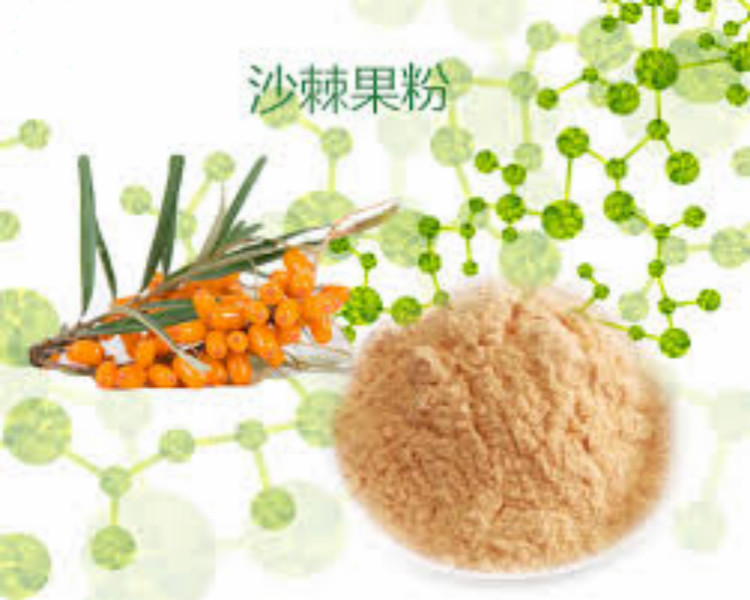 沙棘果粉,Seabuckthorn Fruit Powder