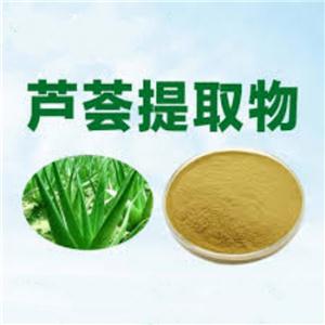 芦荟提取物,Aloe Vera Extract