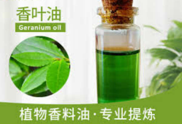香叶油,Geranium oil