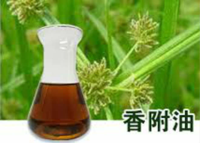 香附油,Cyperus Oi