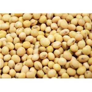大豆卵磷脂,soybean lecithin