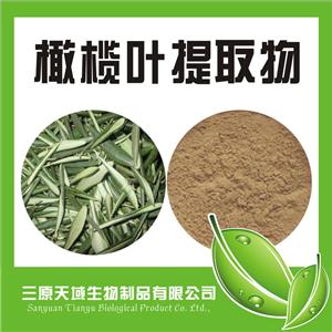 橄榄叶提取物40%,Olive leaf extract