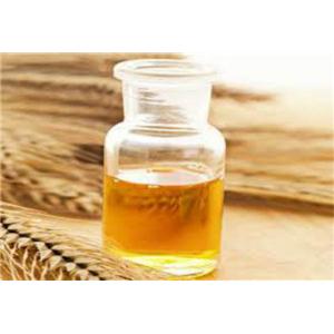 小麦胚芽油,Wheatgerm Oil