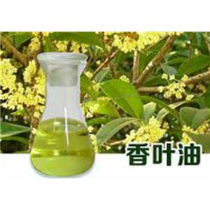 香叶油,Geranium oil