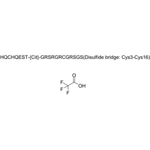 CCP peptide；cyclic citrullinated peptide