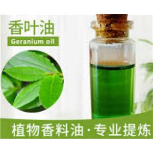 香叶油,Geranium oil