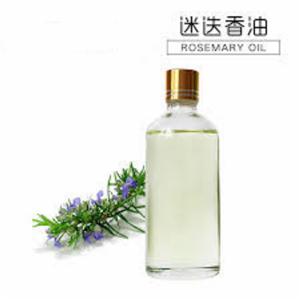 迷迭香油,Rosemary