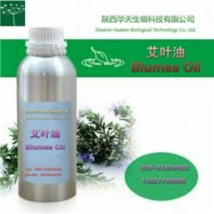 艾叶油,Blumea Oil/Wormwood Oil