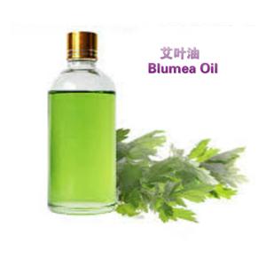 艾叶油,Blumea Oil/Wormwood Oil