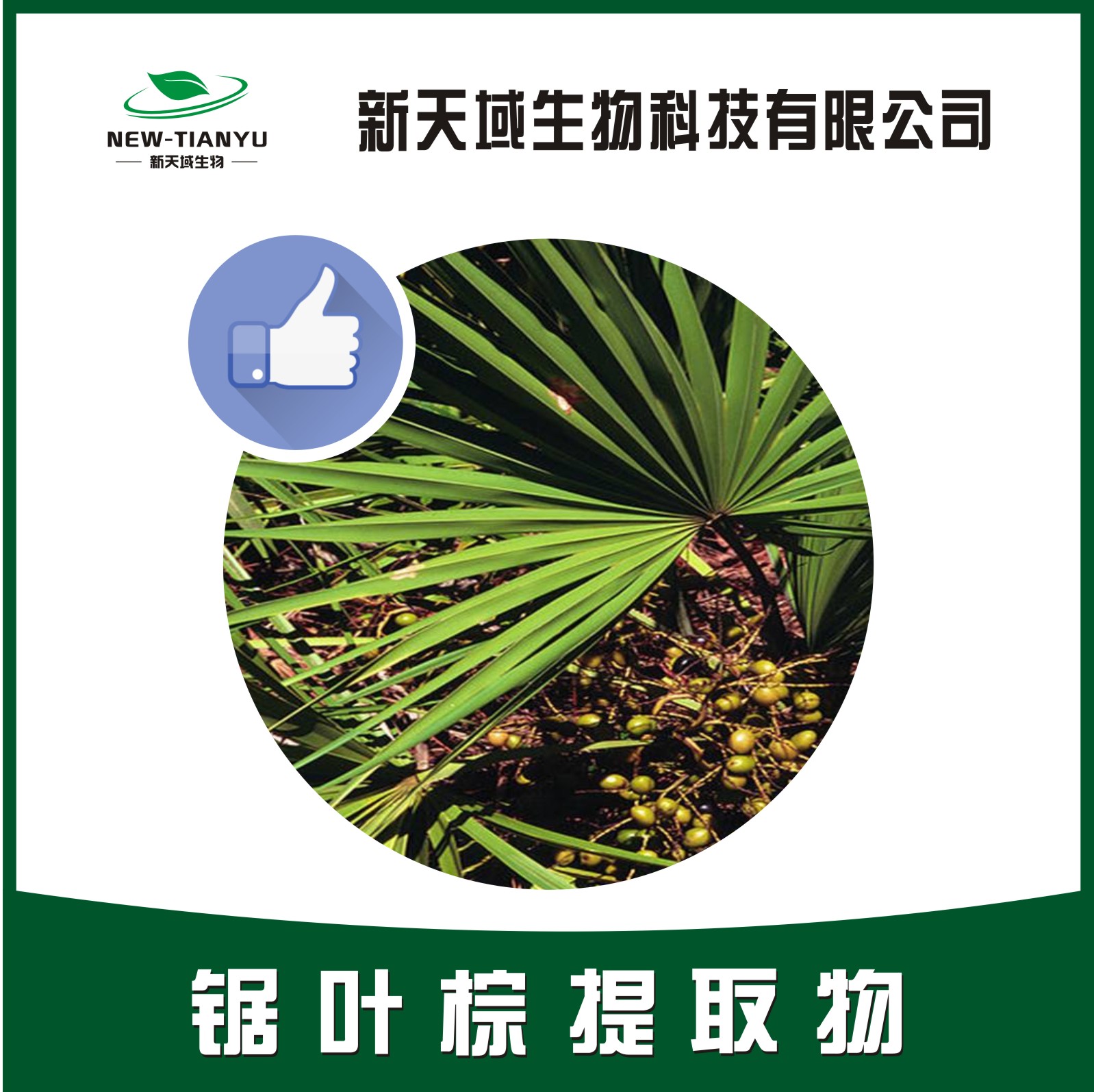 锯叶棕提取物,Saw palmetto P.E.