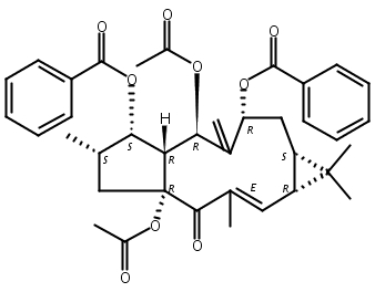 大戟因子L2,Euphorbia factor L2