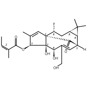 巨大戟醇-3-O-当归酸酯,Ingenol-3-angelate