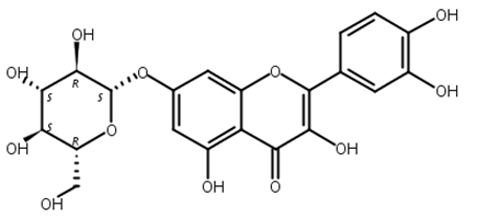槲皮素-7-O-β-D-葡萄糖苷,Quercetin-7-O-β-D-glucopyranoside