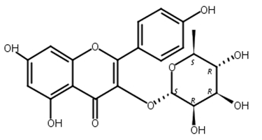 阿福豆苷,Kaempferol 3-o-glucorhamnoside